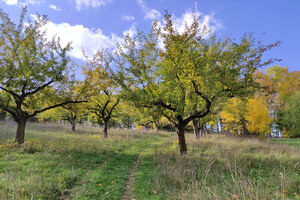 Panorama Wanderweg