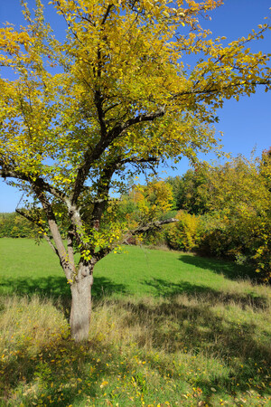 Panorama Wanderweg