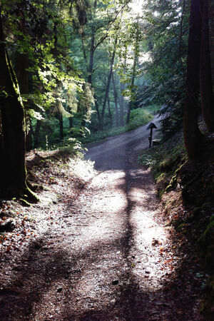 Panorama Wanderweg